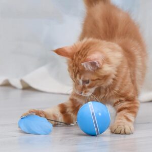 Laser Toy for Cats