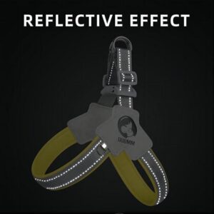 reflective effect of no pull harness