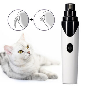 Electric nail clipper