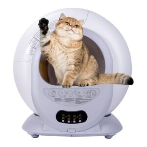 Best self cleaning litter box