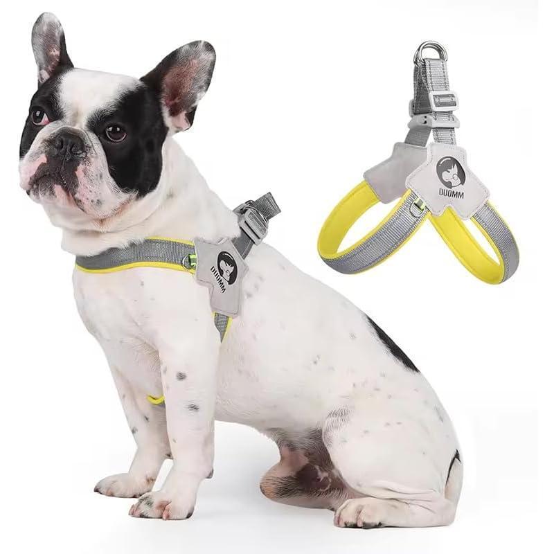 clicker training
