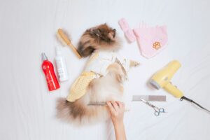 Pet owner gently grooming a dog with sensitive skin using a soft brush to prevent irritation and support coat health.