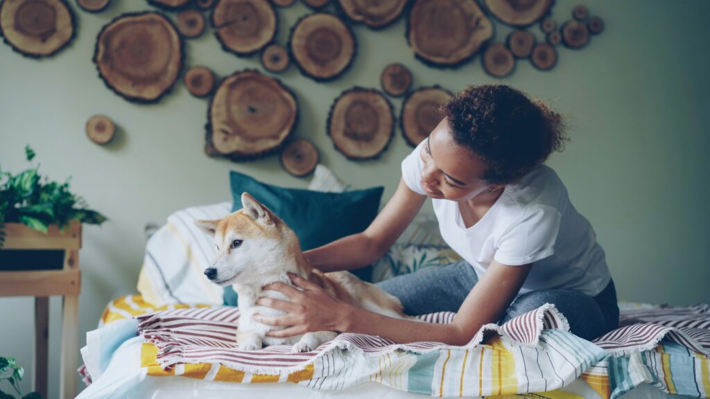 How to bathe a dog at home